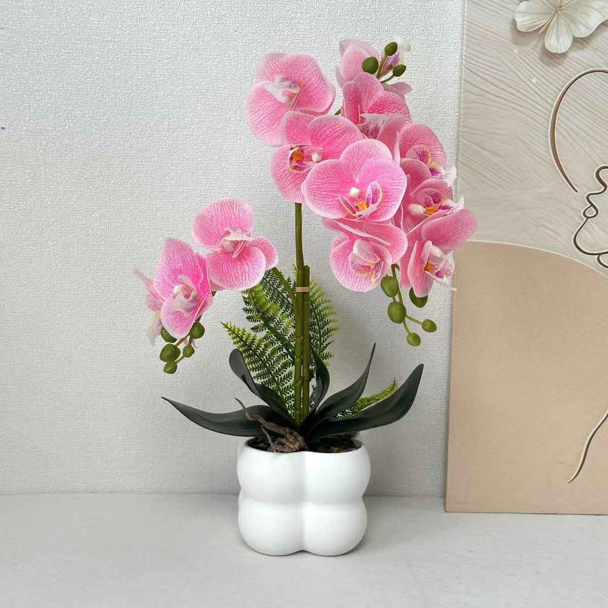 Premium lebensechte Orchideenpflanzenarrangement