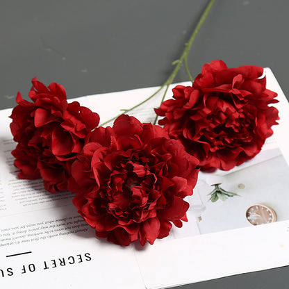 Elegante Pfingstrose Blumenstiel für die Heimdekoration