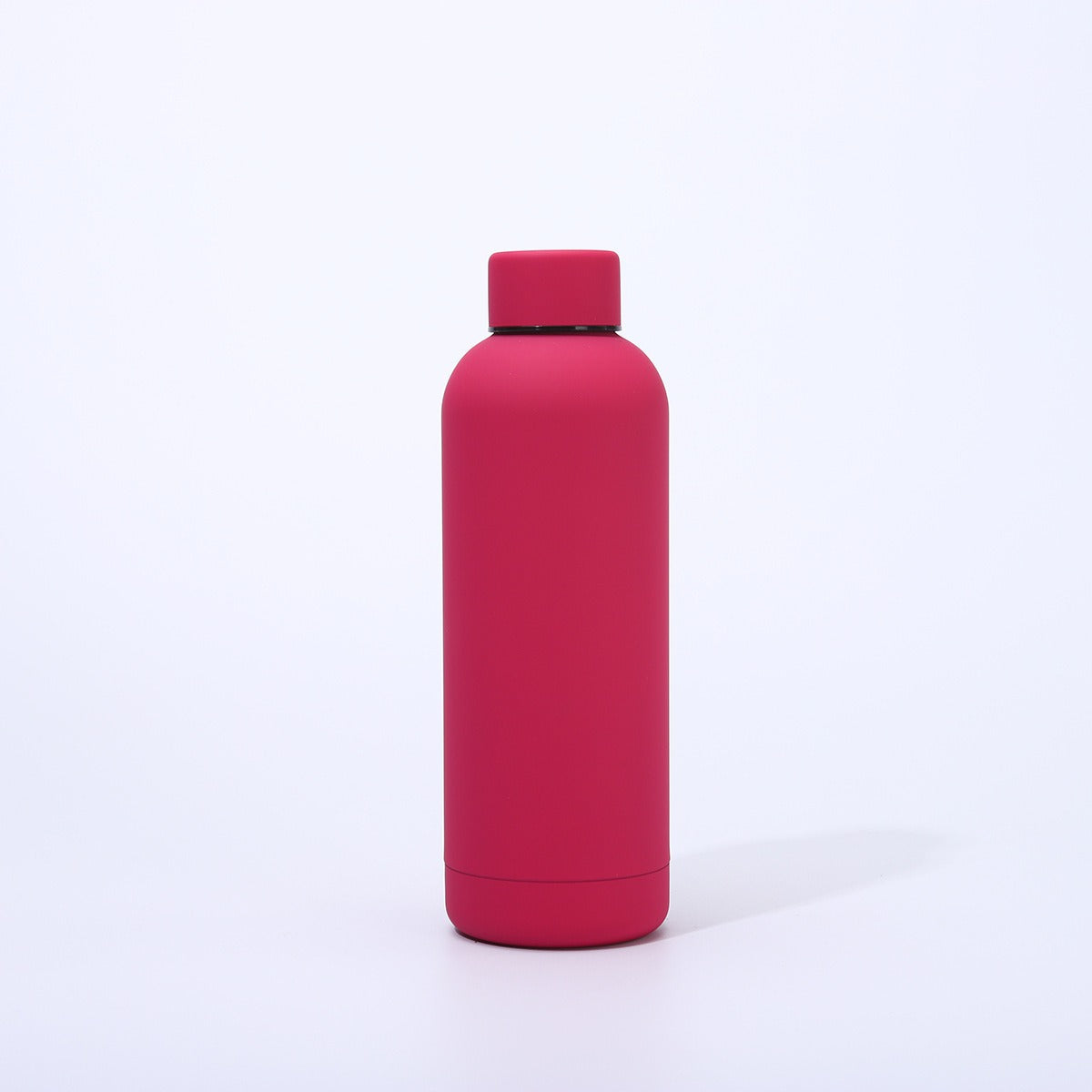 Damen moderne isolierte Wasserflasche Brehn