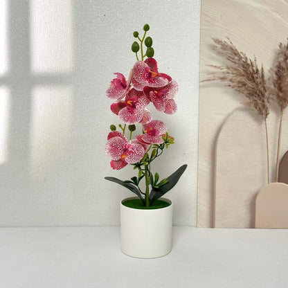 Elegante Orchideen Floral Centerpiece