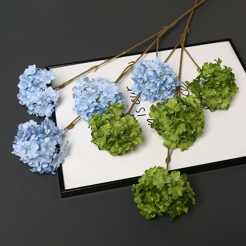 Dekorative getrocknete Blumenstängel für die Wohnkultur