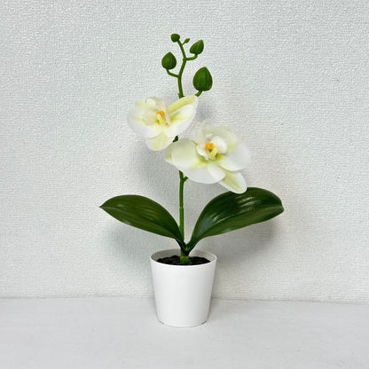 Dekorative Künstliche Orchideenpflanze für die Inneneinrichtung