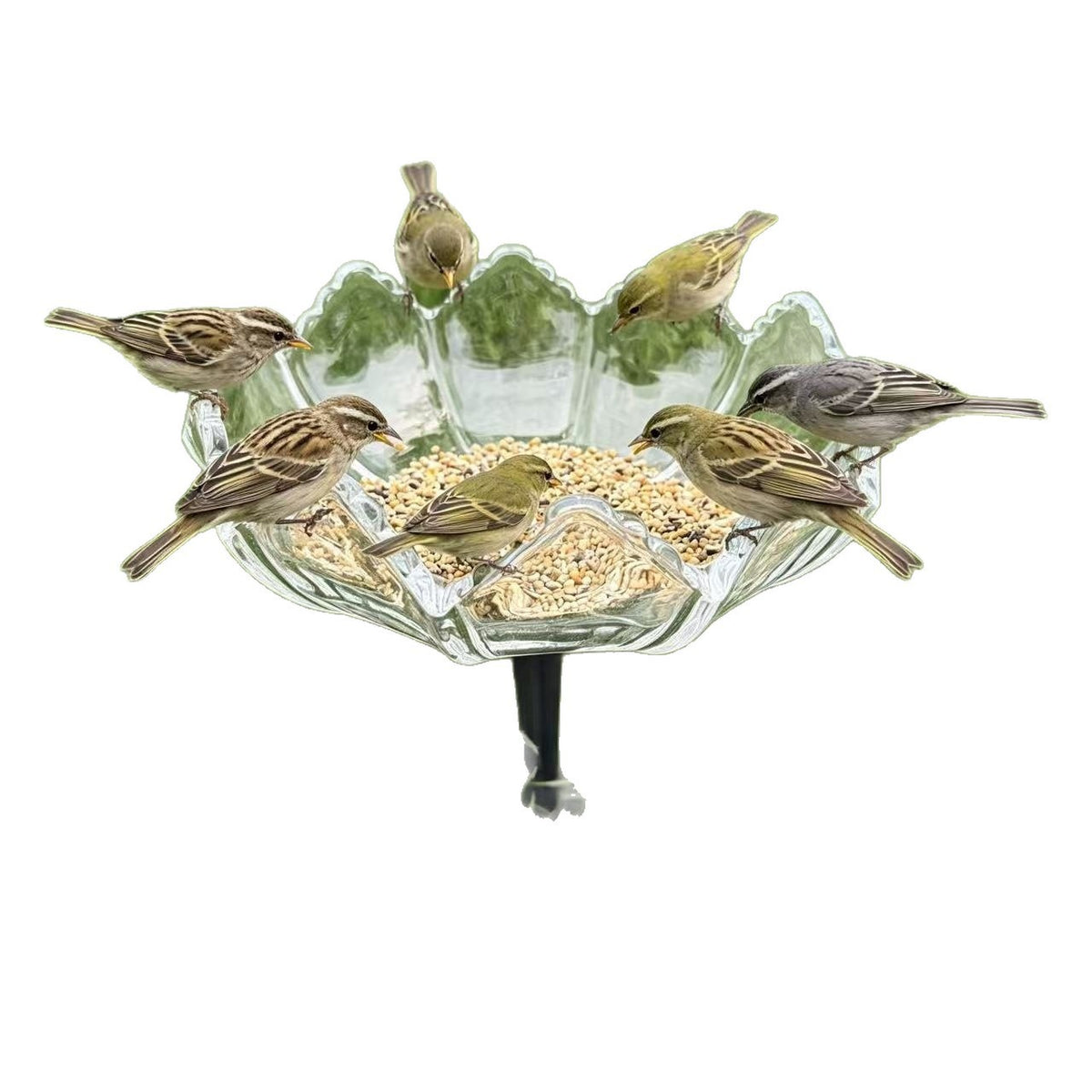 Elegante Vogel-Fütterungsstation Brehn