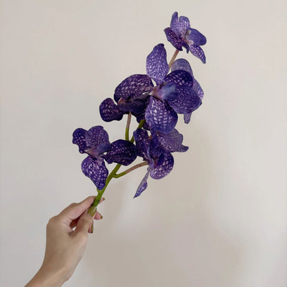 Elegante Künstliche Orchideenstängel