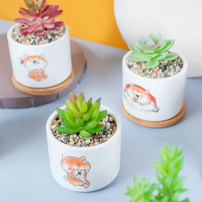 Niedlicher Tier-Themen-Sukkulenten-Planter Brehn