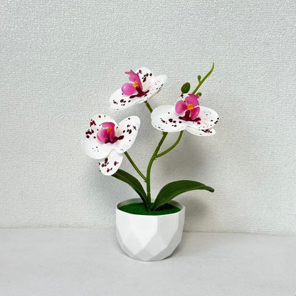 Künstliche Orchideenarrangement für dekorative Innendekoration