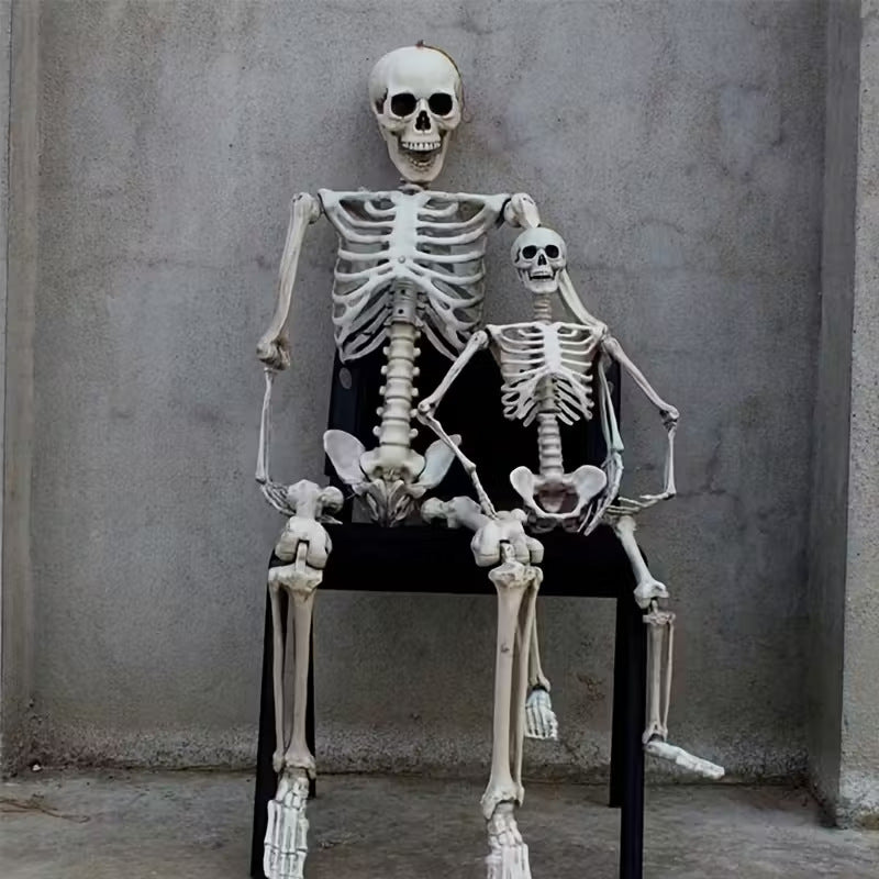Anatomisches Modell