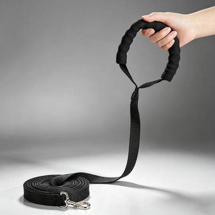 Hundetraining