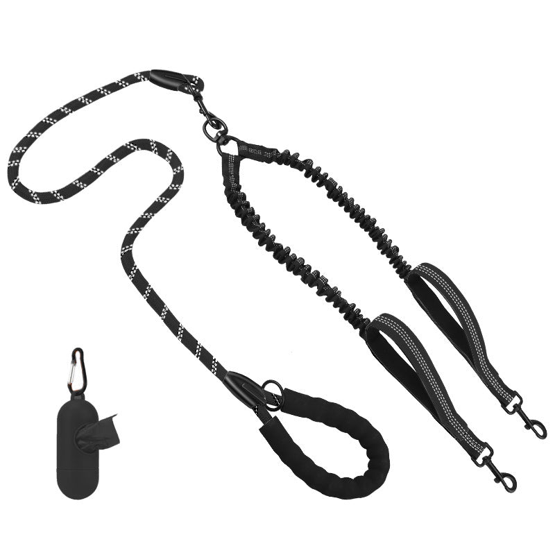 Hundetraining Leine