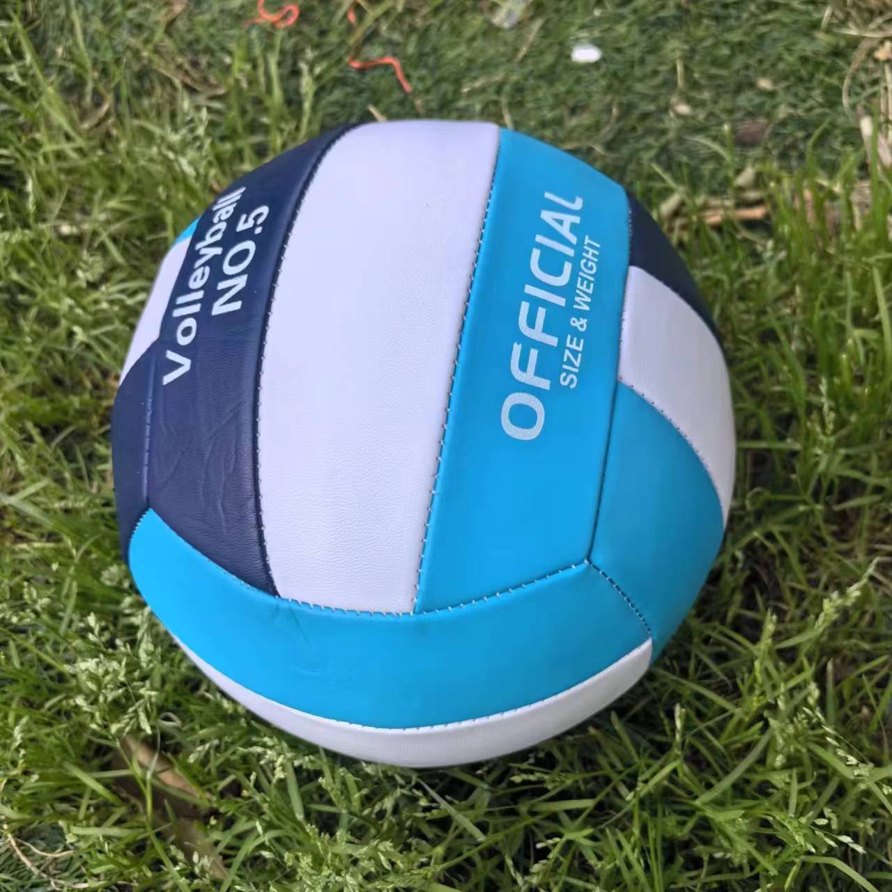 Damen Volleyball Brehn
