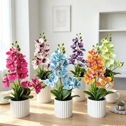 Realistische Indoor-Orchideenpflanzenanordnung