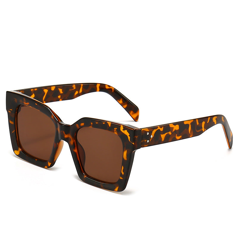 Damen Modische Sonnenbrille im markanten Schildkrötendesign Brehn