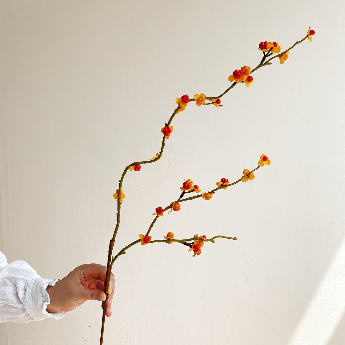 Dekorative Blumenstil für die Innenraumdekoration