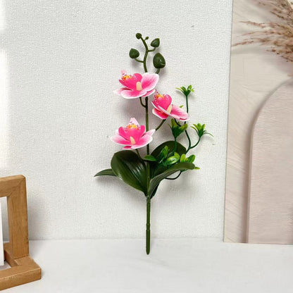 Elegante Orchideen Blumenarrangement