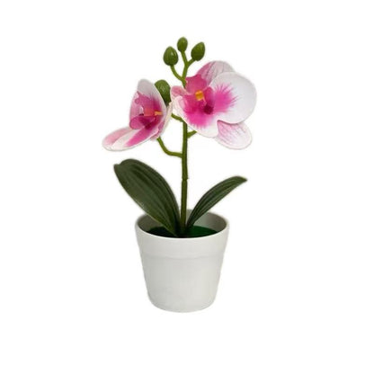 Künstliche Orchideenpflanze für dekorative Wohnanzeige und Styling