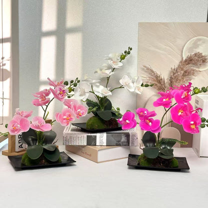 Orchideenblumenarrangement