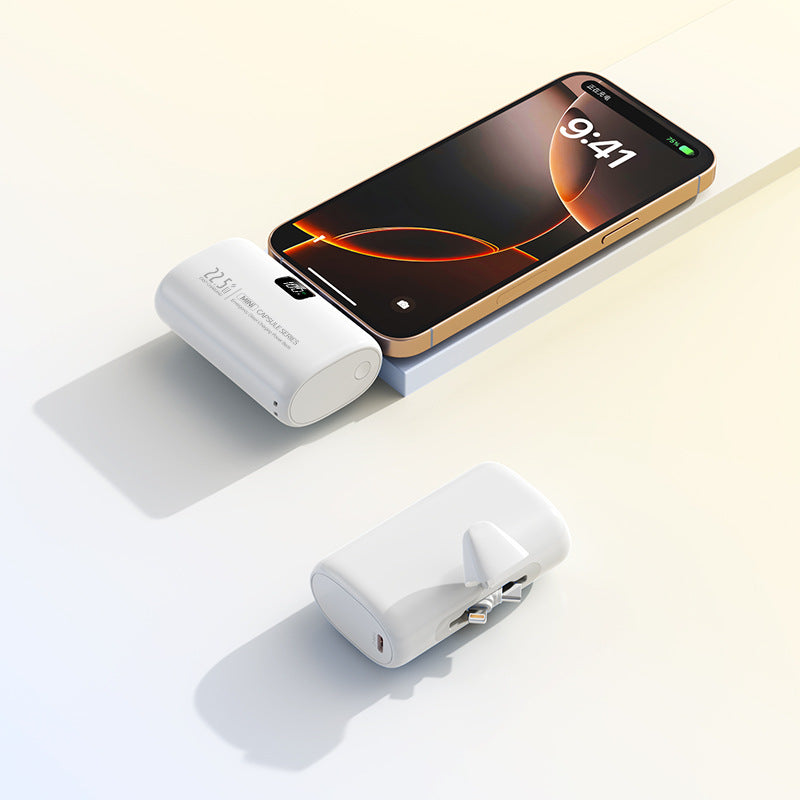 Tragbarer Powerbank mit Integriertem Ladegerät Brehn