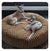 Runderplüsch Lounge Hundebett
