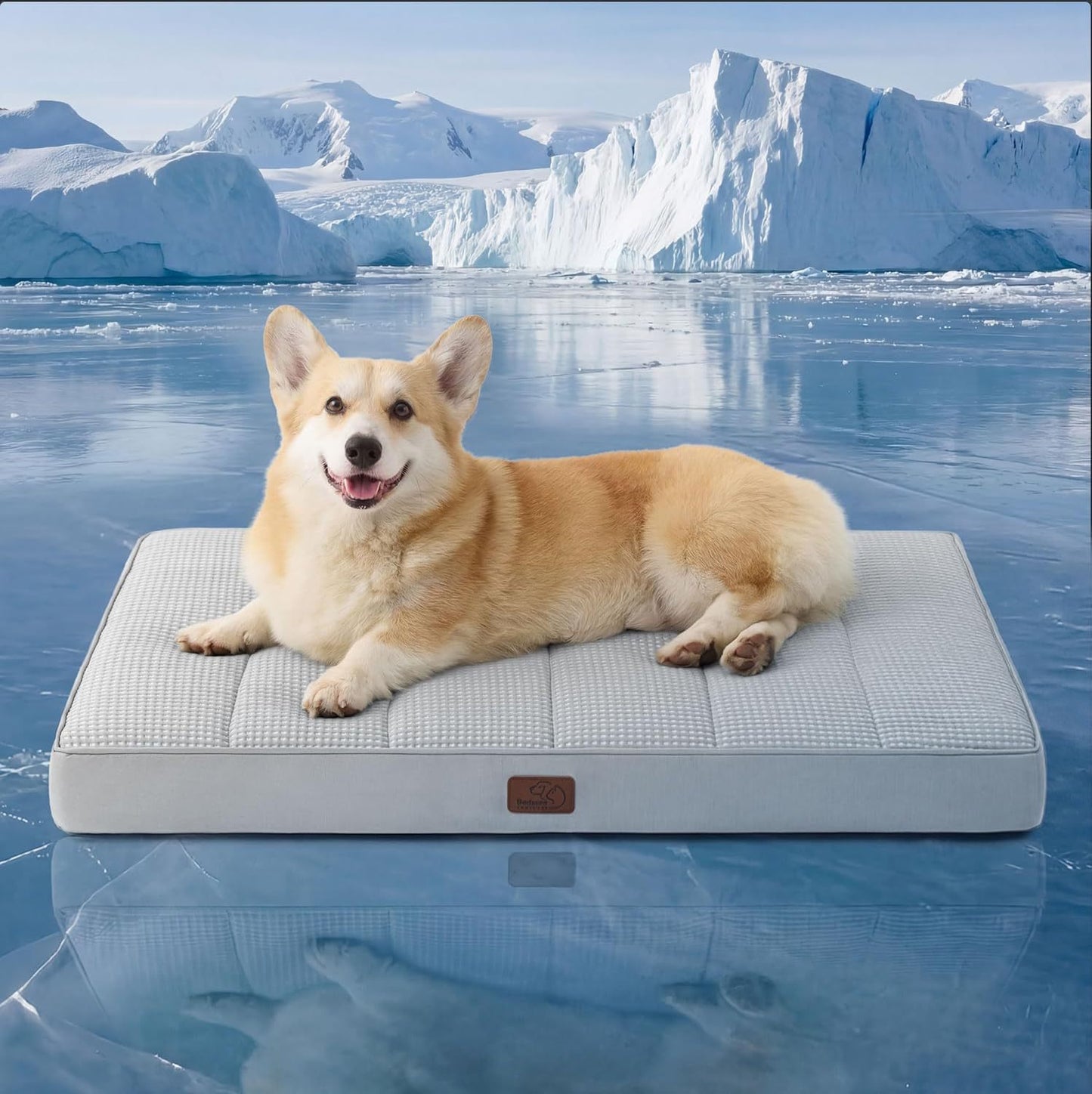 Unisex nan orthopädisches Hundebett mit viscoelastischem Schaumkern und erhöhtem Rand Brehn