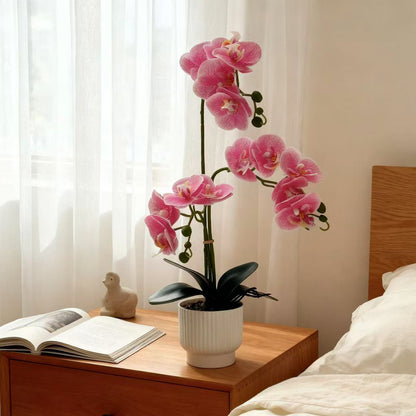 Elegante künstliche Orchideen-Pflanze für die Home Decor Präsentation