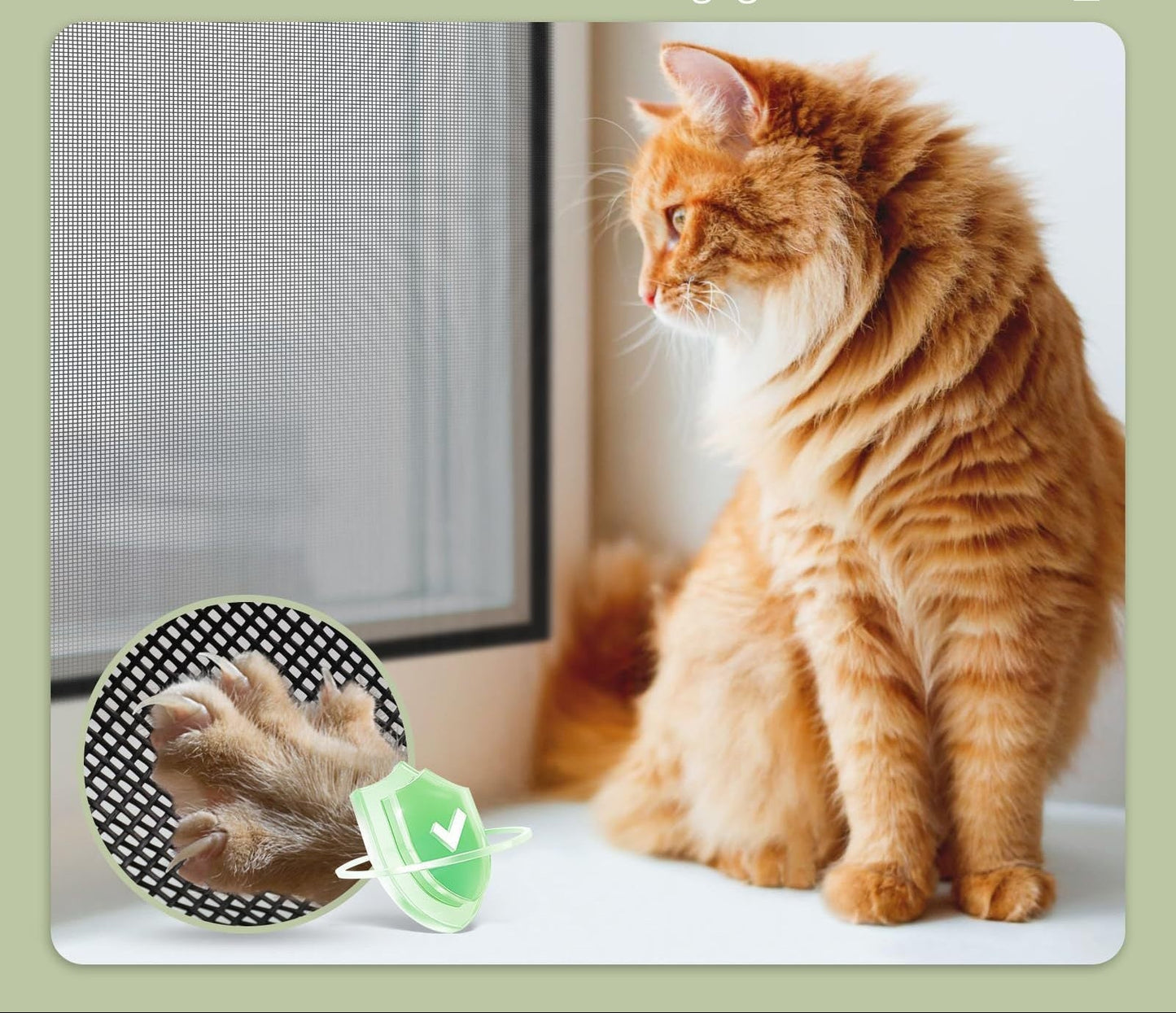 Kat Kratzabweisendes Fensterbild Brehn