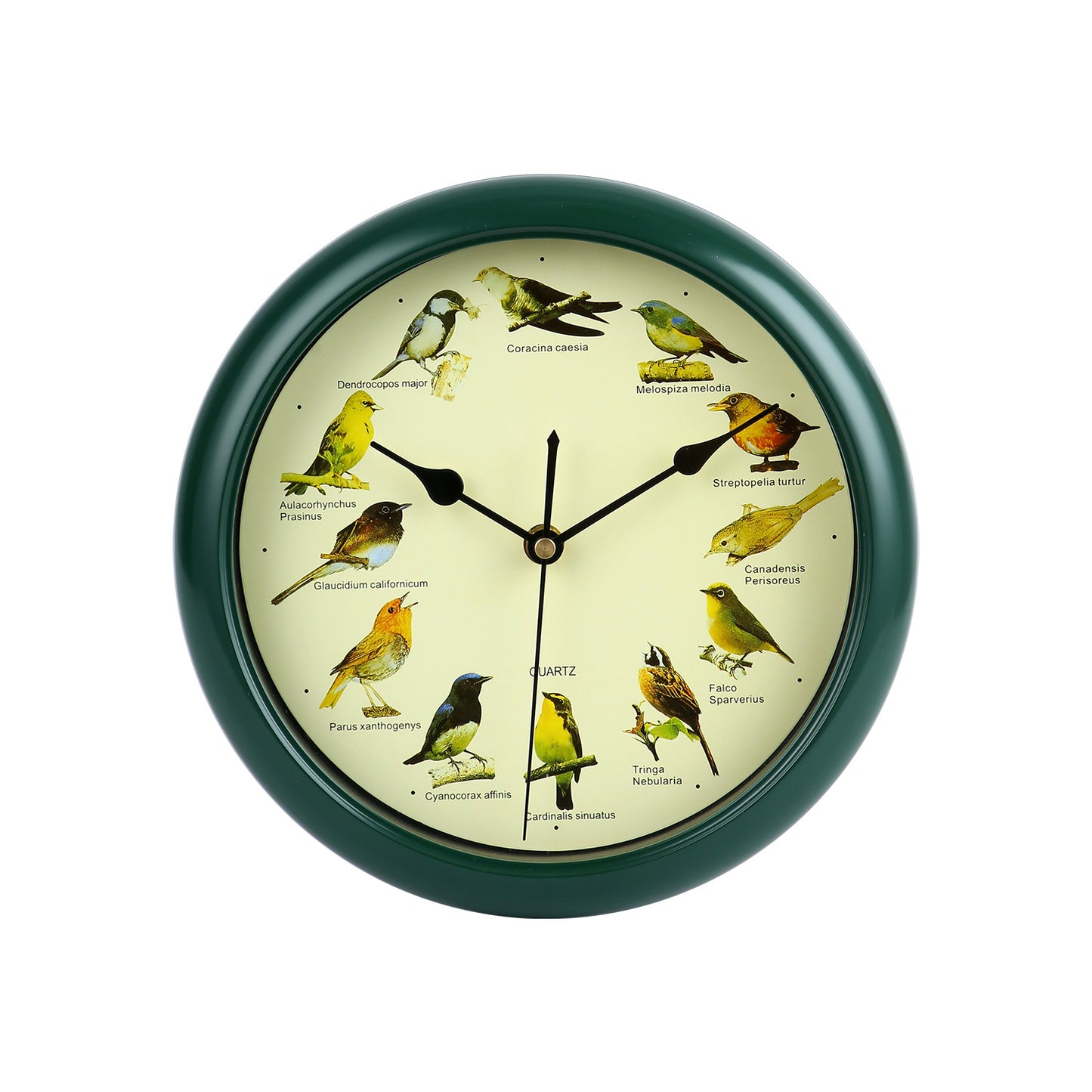 Wanduhr mit buntem Vogeldesign Brehn