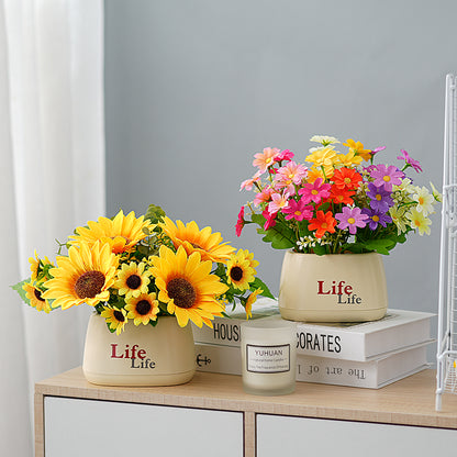 Dekorativer Topfpflanzenscheinblumen-Arrangements