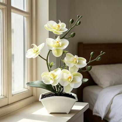Realistische Dekorative Orchideen Pflanzenanordnung