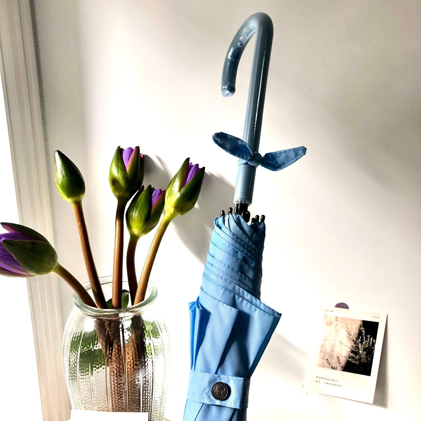 Damen Faltbarer Regenschirm mit geschmackvollem Design Brehn