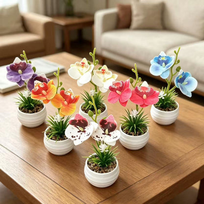 Dekorative Miniaturorchideen-Tischdekoration