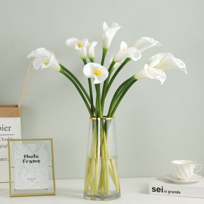 Elegante Kunst-Kalla-Lilienstängel