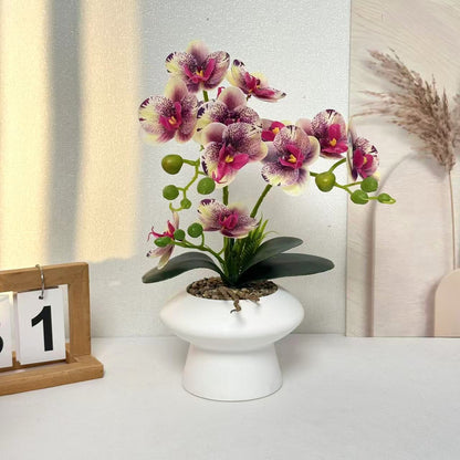 Dekorativer Orchideenblumenarrangement für die Heimanzeige