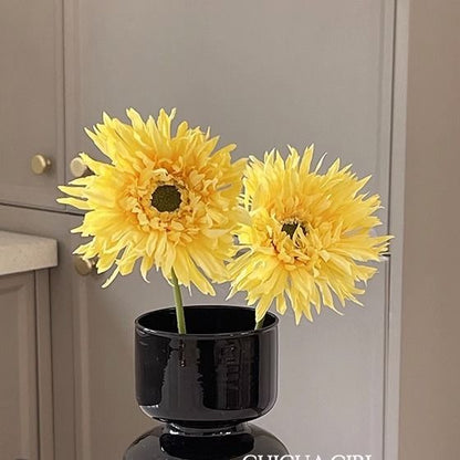 Dekorative Home Vase für die Innenraumgestaltung