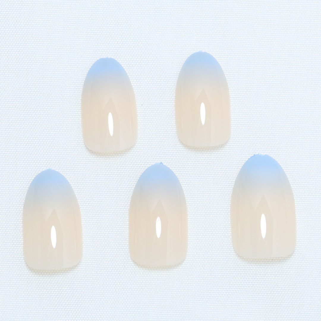 Premium Ombre Press-On Nails Brehn