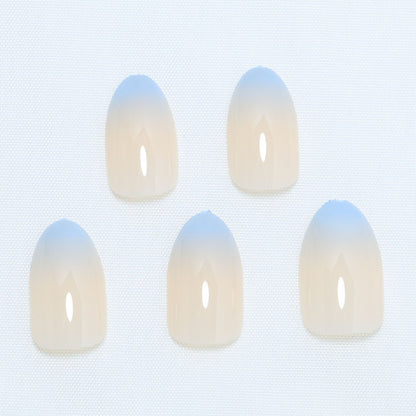 Premium Ombre Press-On Nails Brehn