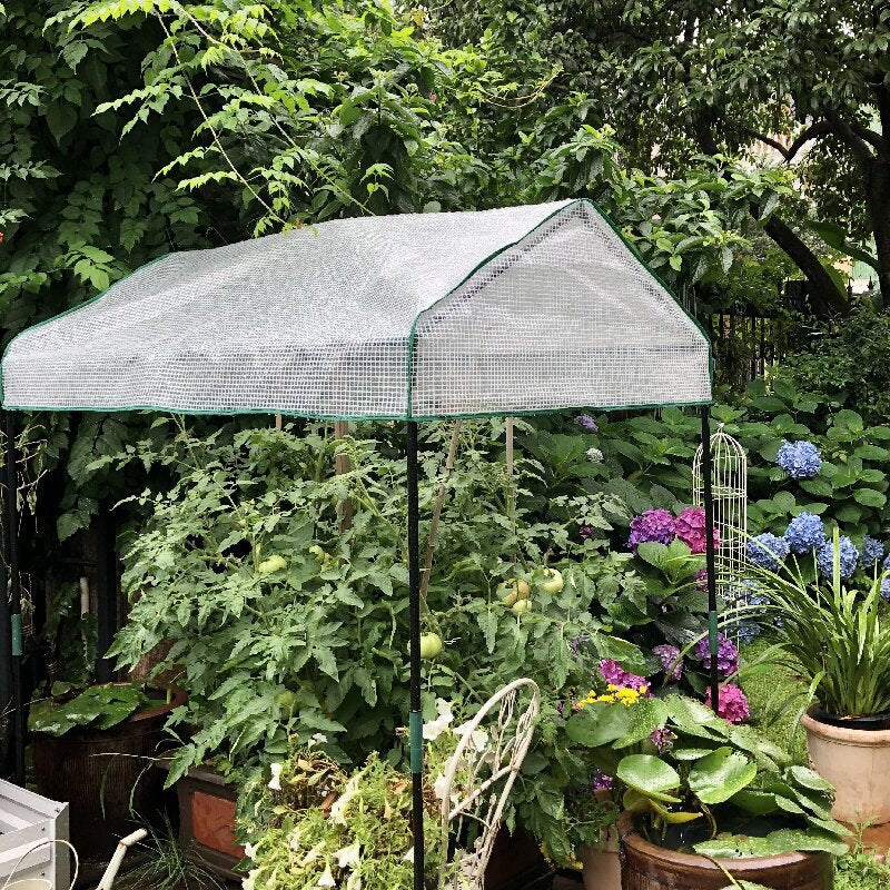 Garten Gewächshaus