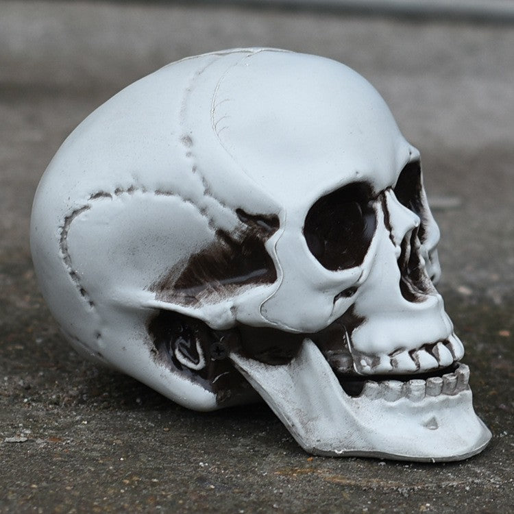 Dekorative realistische Totenkopf-Figur Brehn