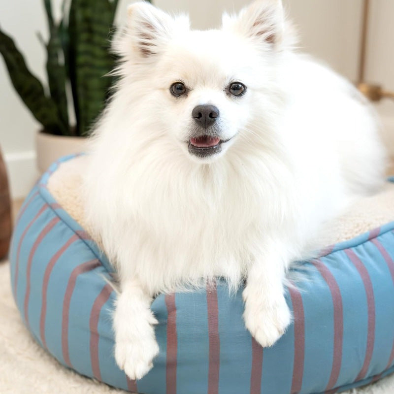 Gemütliches Rundes Plüsch-Hundebett