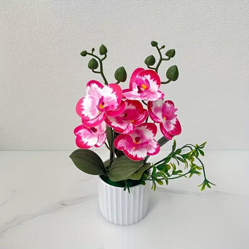 Elegante florale Orchideensträuße