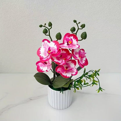 Elegante florale Orchideensträuße