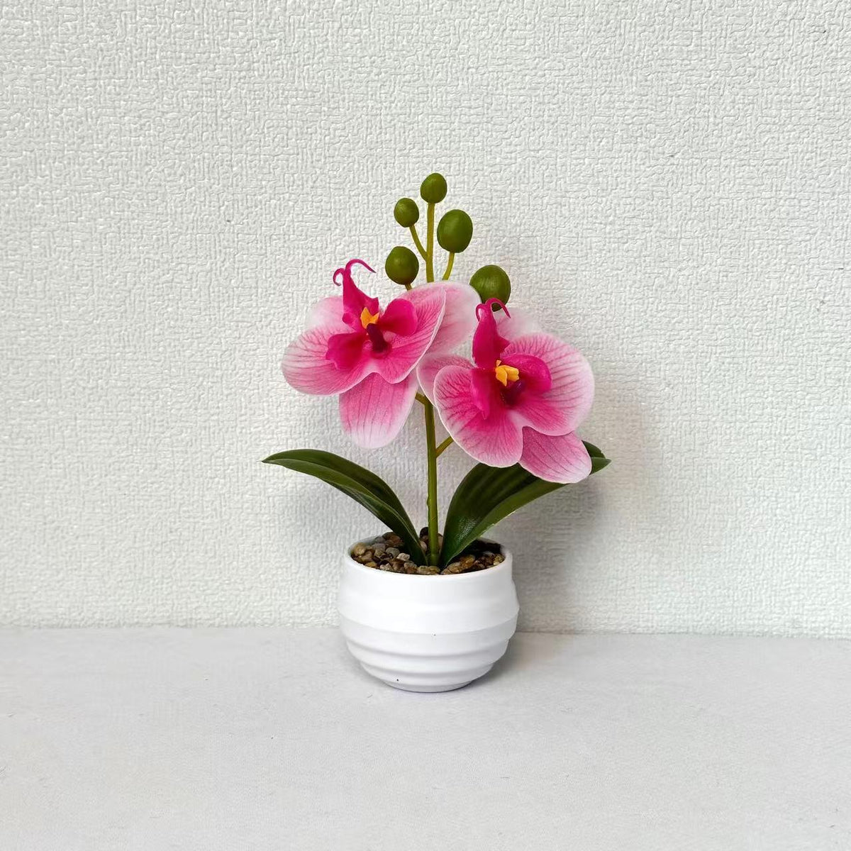 Dekorative Orchideen-Topf
