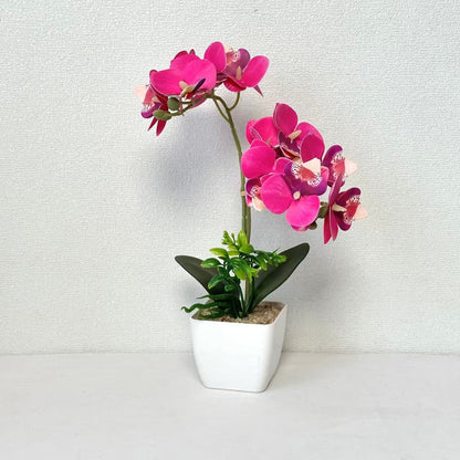 Künstliches Orchideenarrangement für die Wohnkultur-Darstellung