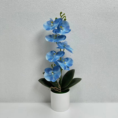 Lebensechte Dekorative Orchideenpflanze für die Innendekoration