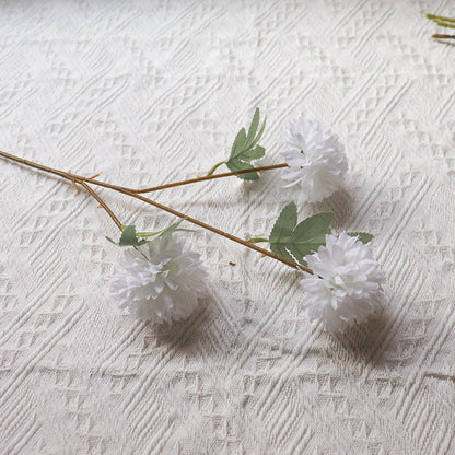 Dekorativer Blumenspross für die Wohnkultur-Darstellung