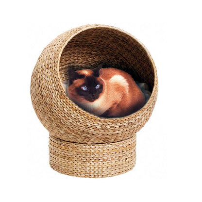 Katzenkuhle Brehn