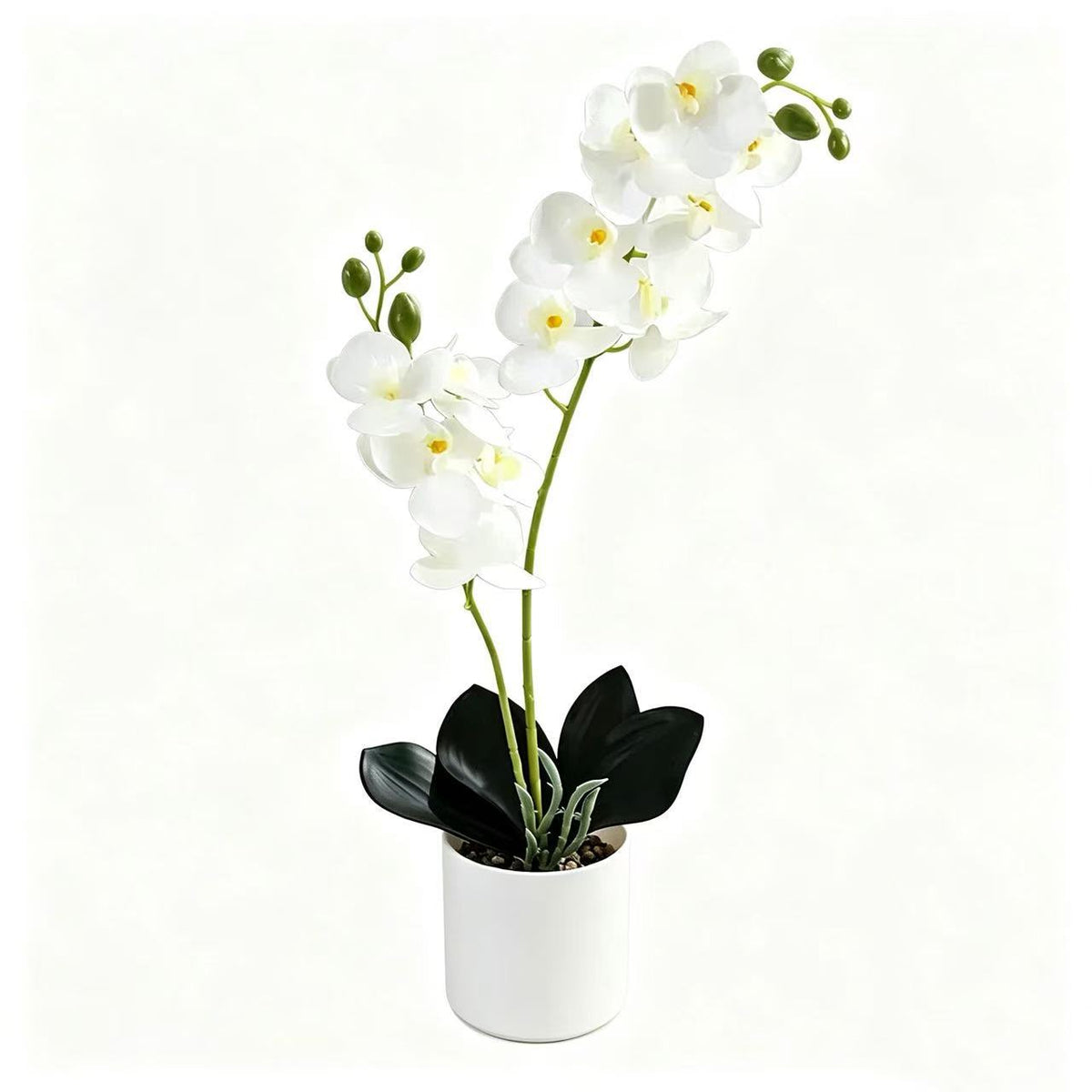 Lebensechte Orchidee Home-Dekor