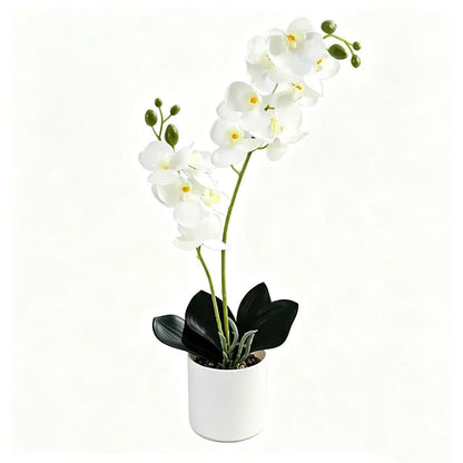 Lebensechte Orchidee Home-Dekor