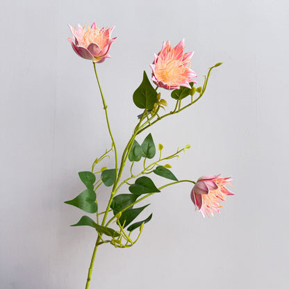 Exotische Flora Anordnung
