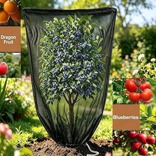 Garten Schattengewebe Brehn