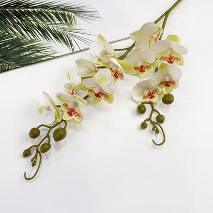Realistische Orchideenblütenstängel